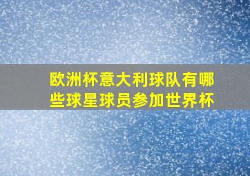 欧洲杯意大利球队有哪些球星球员参加世界杯