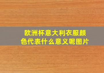 欧洲杯意大利衣服颜色代表什么意义呢图片