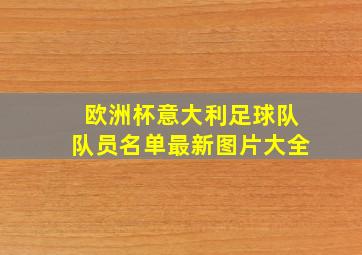 欧洲杯意大利足球队队员名单最新图片大全