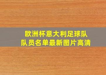 欧洲杯意大利足球队队员名单最新图片高清