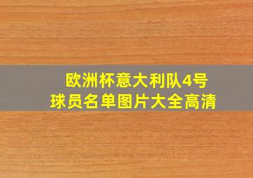 欧洲杯意大利队4号球员名单图片大全高清