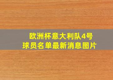 欧洲杯意大利队4号球员名单最新消息图片