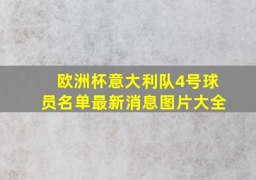 欧洲杯意大利队4号球员名单最新消息图片大全