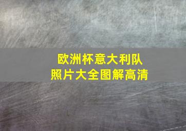 欧洲杯意大利队照片大全图解高清