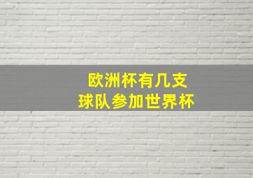 欧洲杯有几支球队参加世界杯