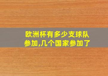 欧洲杯有多少支球队参加,几个国家参加了