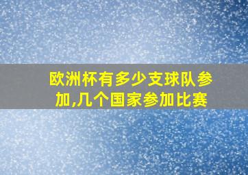 欧洲杯有多少支球队参加,几个国家参加比赛