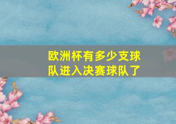 欧洲杯有多少支球队进入决赛球队了