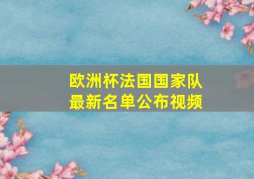 欧洲杯法国国家队最新名单公布视频