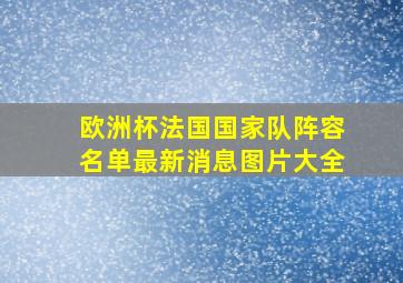 欧洲杯法国国家队阵容名单最新消息图片大全