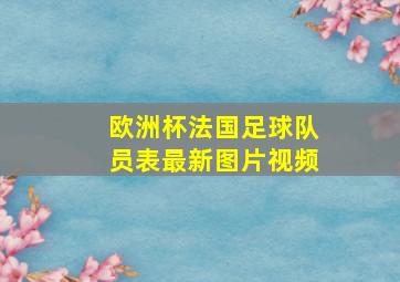 欧洲杯法国足球队员表最新图片视频