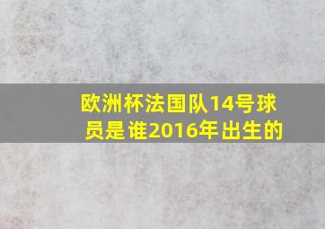 欧洲杯法国队14号球员是谁2016年出生的