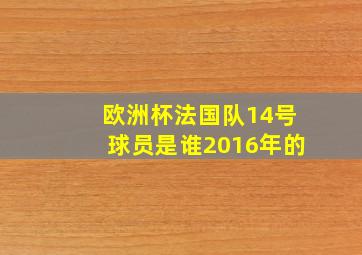 欧洲杯法国队14号球员是谁2016年的