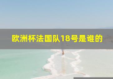 欧洲杯法国队18号是谁的