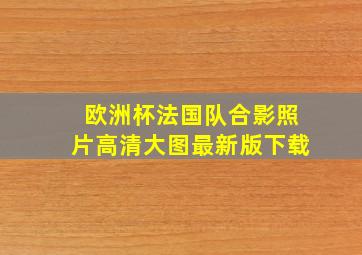 欧洲杯法国队合影照片高清大图最新版下载