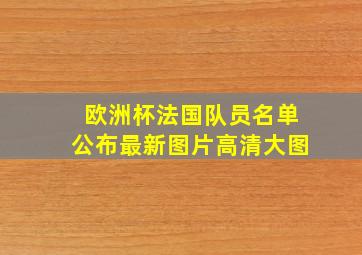 欧洲杯法国队员名单公布最新图片高清大图