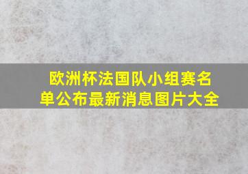 欧洲杯法国队小组赛名单公布最新消息图片大全