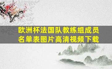 欧洲杯法国队教练组成员名单表图片高清视频下载