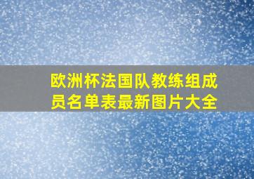 欧洲杯法国队教练组成员名单表最新图片大全