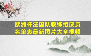 欧洲杯法国队教练组成员名单表最新图片大全视频