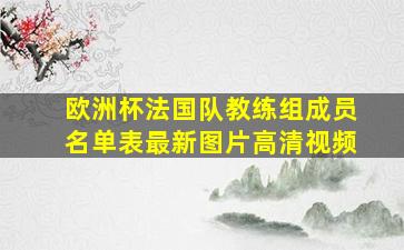 欧洲杯法国队教练组成员名单表最新图片高清视频