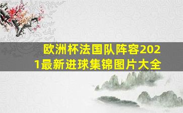 欧洲杯法国队阵容2021最新进球集锦图片大全