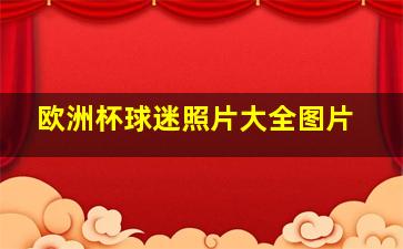 欧洲杯球迷照片大全图片