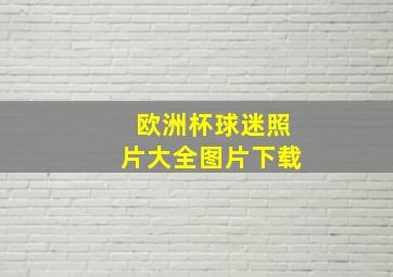 欧洲杯球迷照片大全图片下载