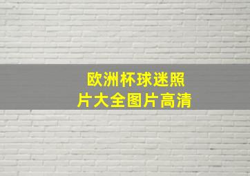 欧洲杯球迷照片大全图片高清