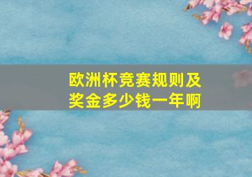 欧洲杯竞赛规则及奖金多少钱一年啊