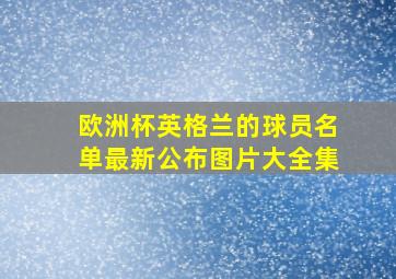 欧洲杯英格兰的球员名单最新公布图片大全集