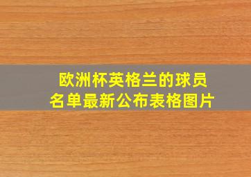 欧洲杯英格兰的球员名单最新公布表格图片