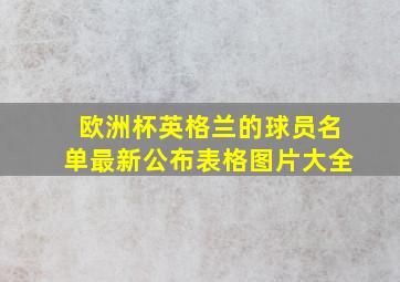 欧洲杯英格兰的球员名单最新公布表格图片大全