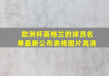 欧洲杯英格兰的球员名单最新公布表格图片高清