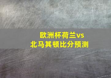 欧洲杯荷兰vs北马其顿比分预测