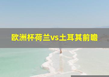 欧洲杯荷兰vs土耳其前瞻