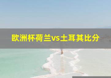 欧洲杯荷兰vs土耳其比分