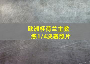 欧洲杯荷兰主教练1/4决赛照片