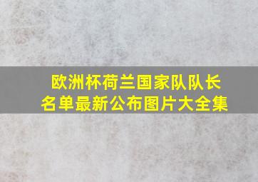 欧洲杯荷兰国家队队长名单最新公布图片大全集