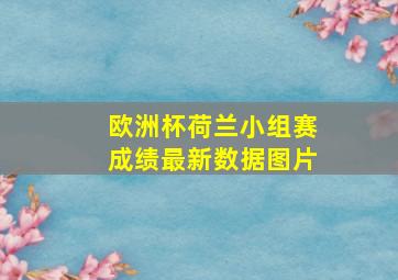 欧洲杯荷兰小组赛成绩最新数据图片