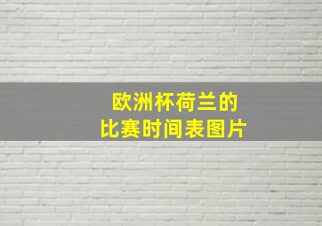 欧洲杯荷兰的比赛时间表图片