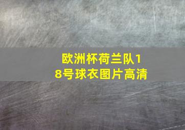 欧洲杯荷兰队18号球衣图片高清