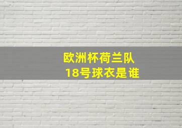 欧洲杯荷兰队18号球衣是谁