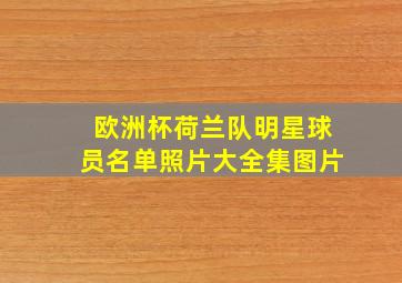 欧洲杯荷兰队明星球员名单照片大全集图片