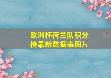 欧洲杯荷兰队积分榜最新数据表图片