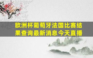 欧洲杯葡萄牙法国比赛结果查询最新消息今天直播