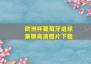 欧洲杯葡萄牙进球集锦高清图片下载