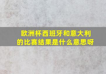 欧洲杯西班牙和意大利的比赛结果是什么意思呀