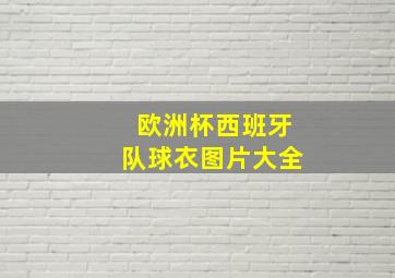 欧洲杯西班牙队球衣图片大全