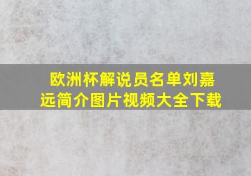 欧洲杯解说员名单刘嘉远简介图片视频大全下载